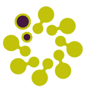 The Health Chronicles