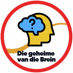 Die geheime van die brein