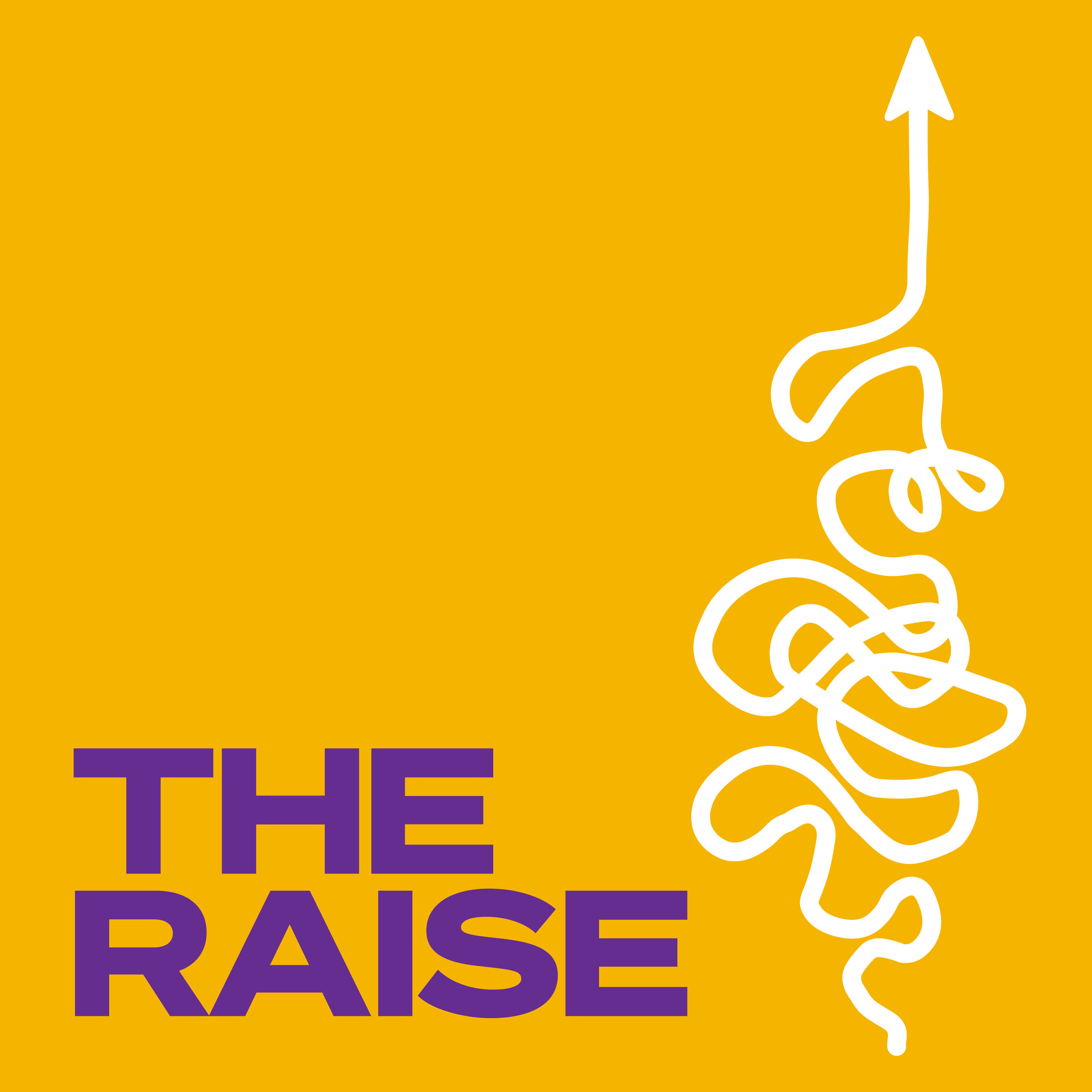 The Raise cover