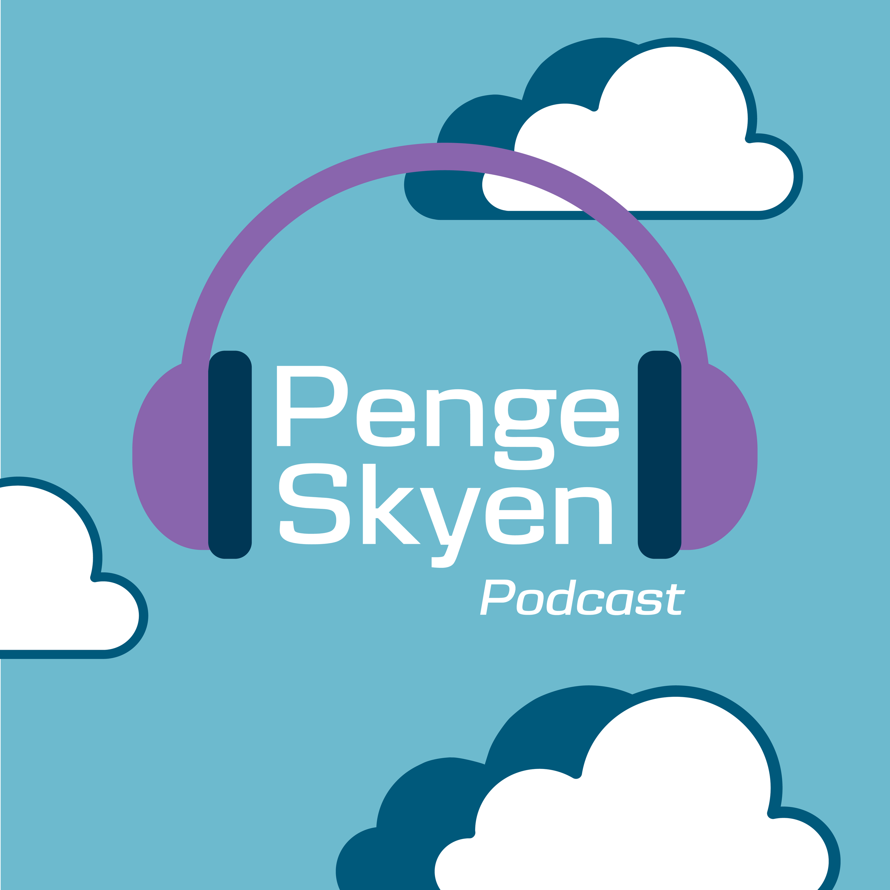 Pengeskyen by Danske Bank