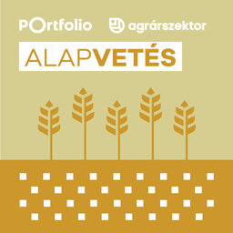 Alapvetés