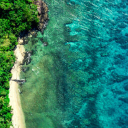 Fiji-Indian Global Thursday