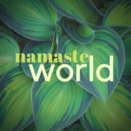 Namaste World Global (Hindi)