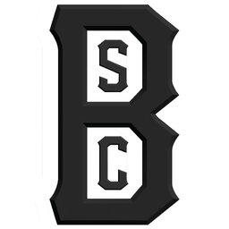 Bay Area Sports Collective