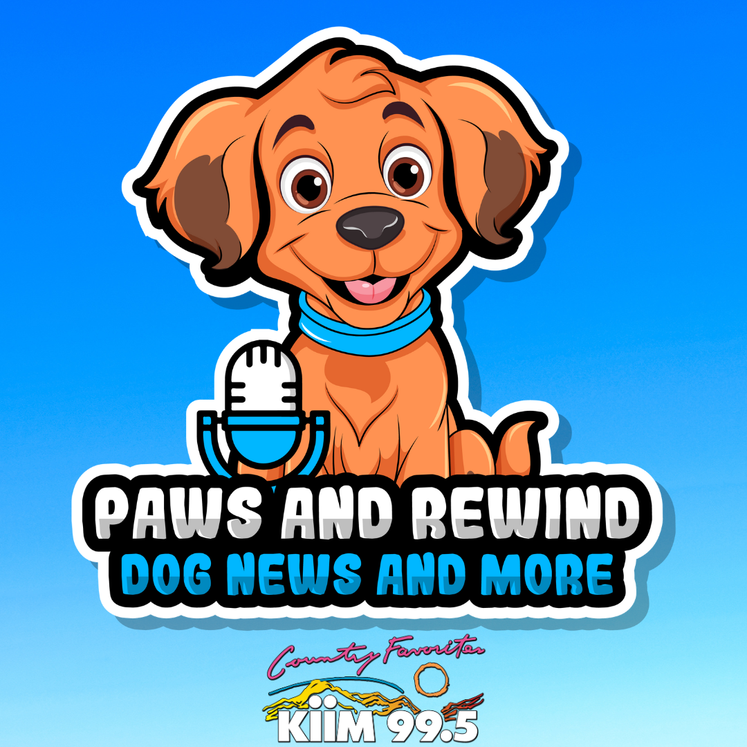 Paws And Rewind: The Dog News Podcast