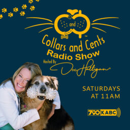 Collars And Cents