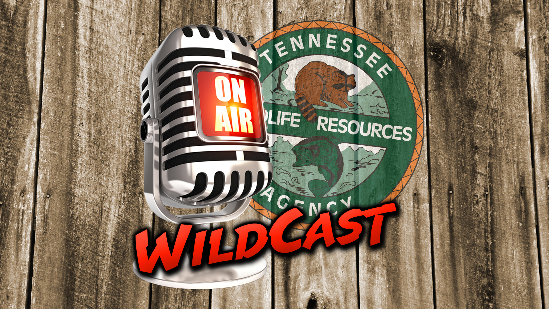Tennessee Wildcast on Super Talk 99.7 WTN