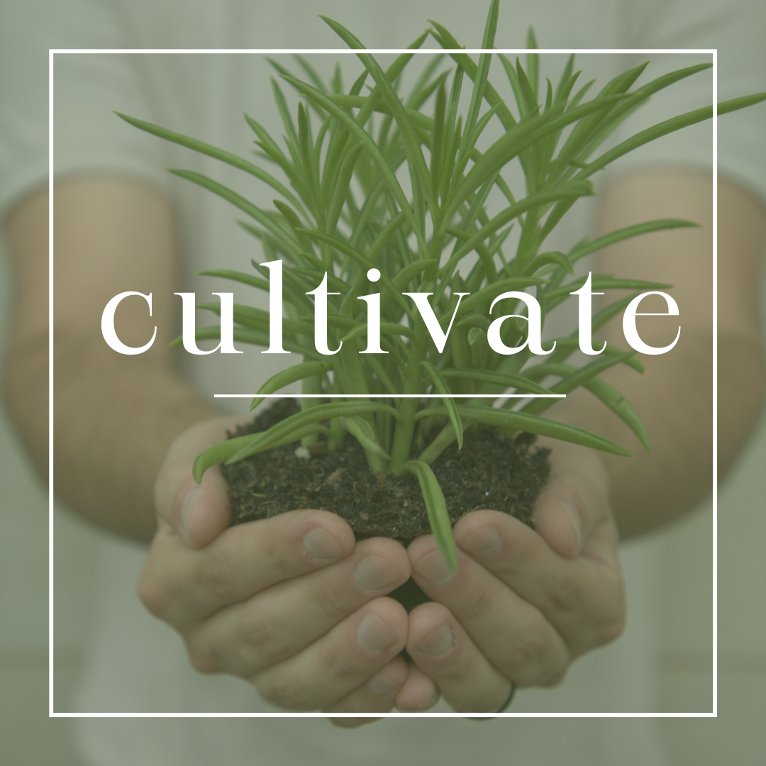 Cultivate