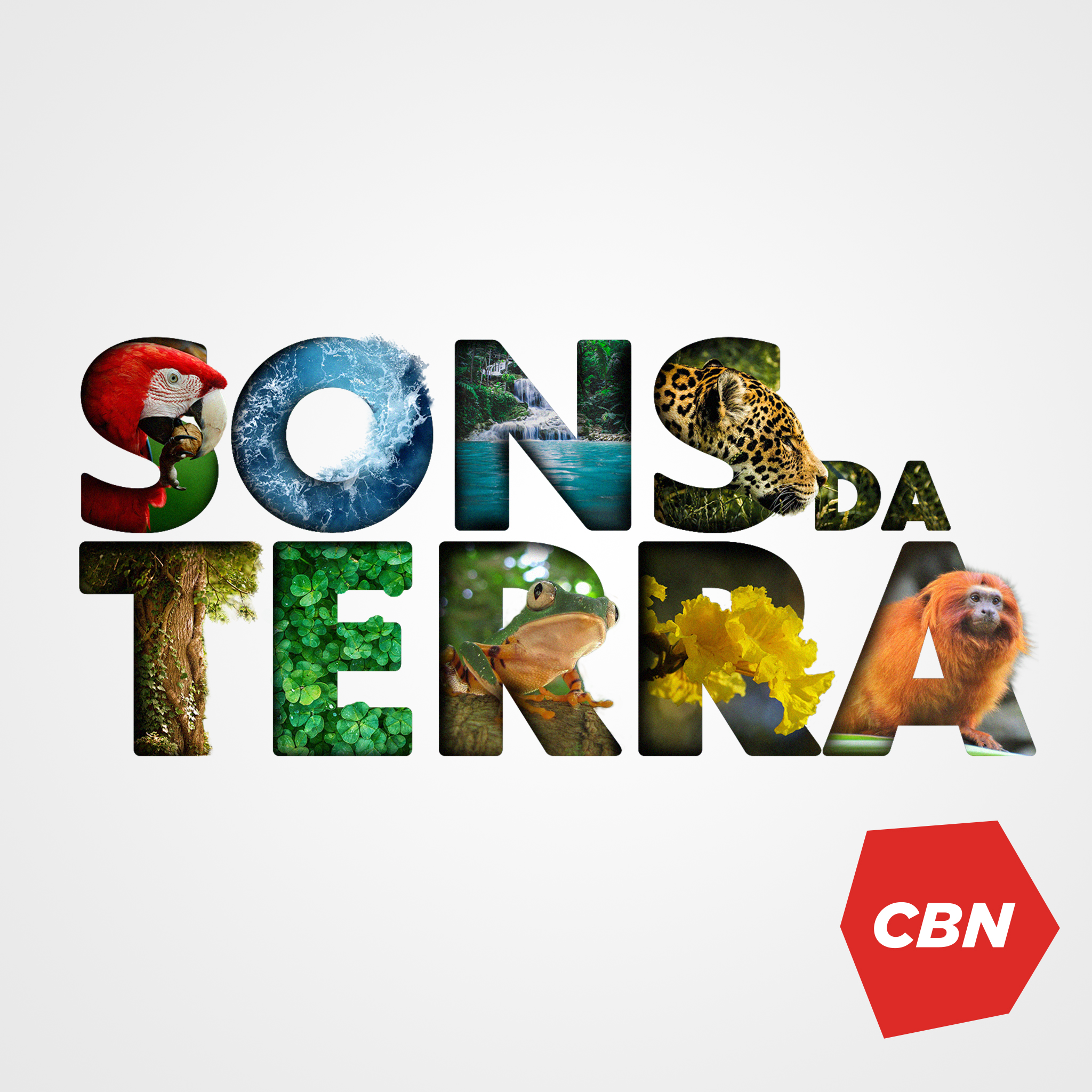 Sons da Terra