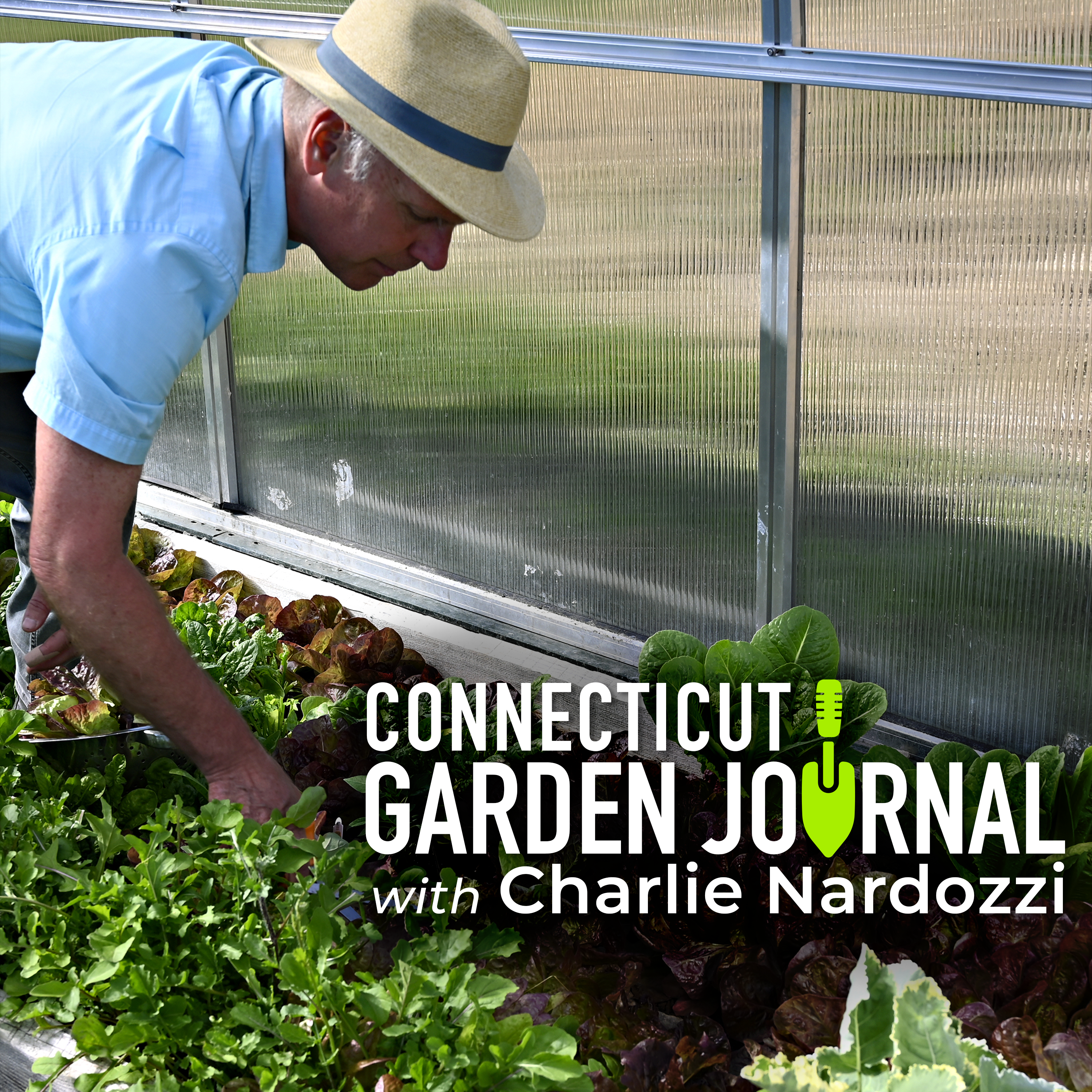 Connecticut Garden Journal