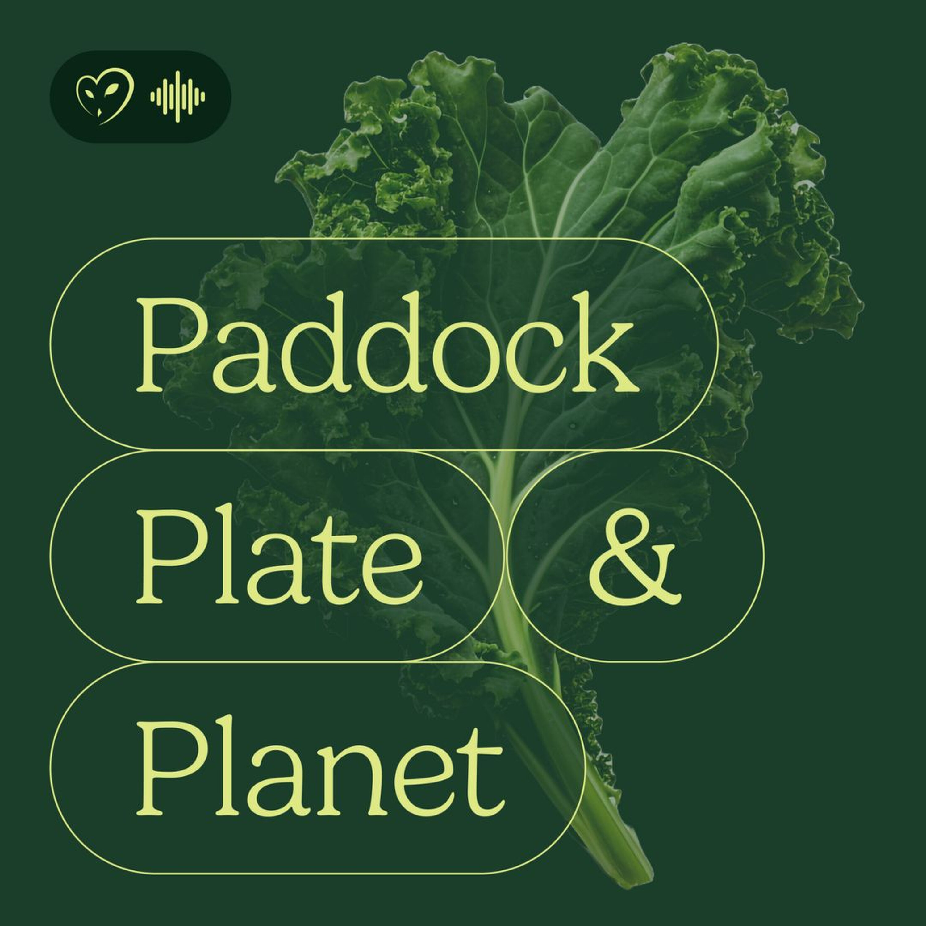Paddock, Plate and Planet