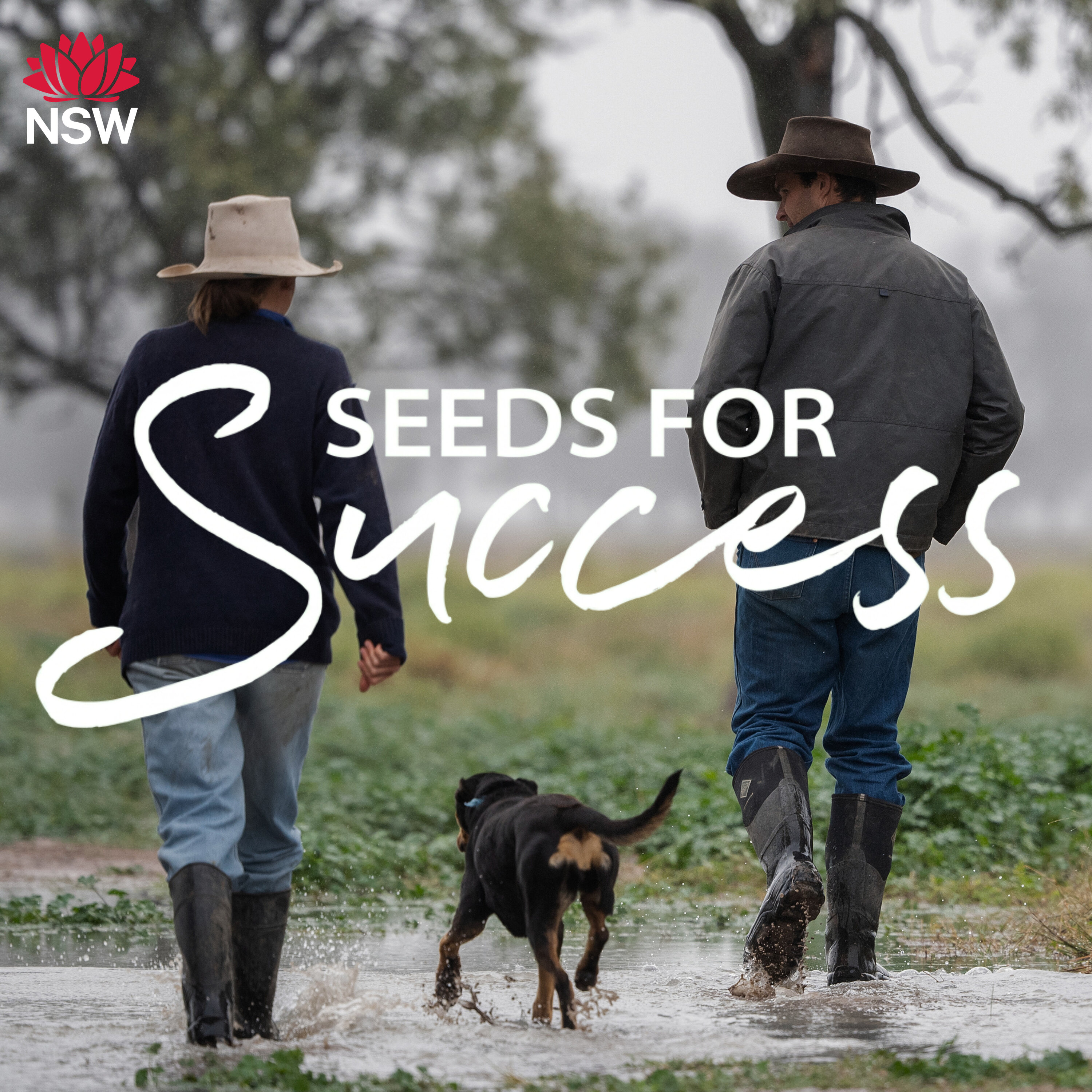 Seeds for Success