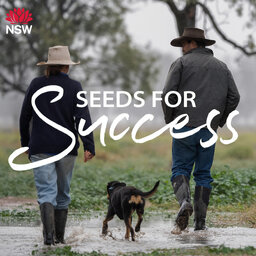 Seeds for Success