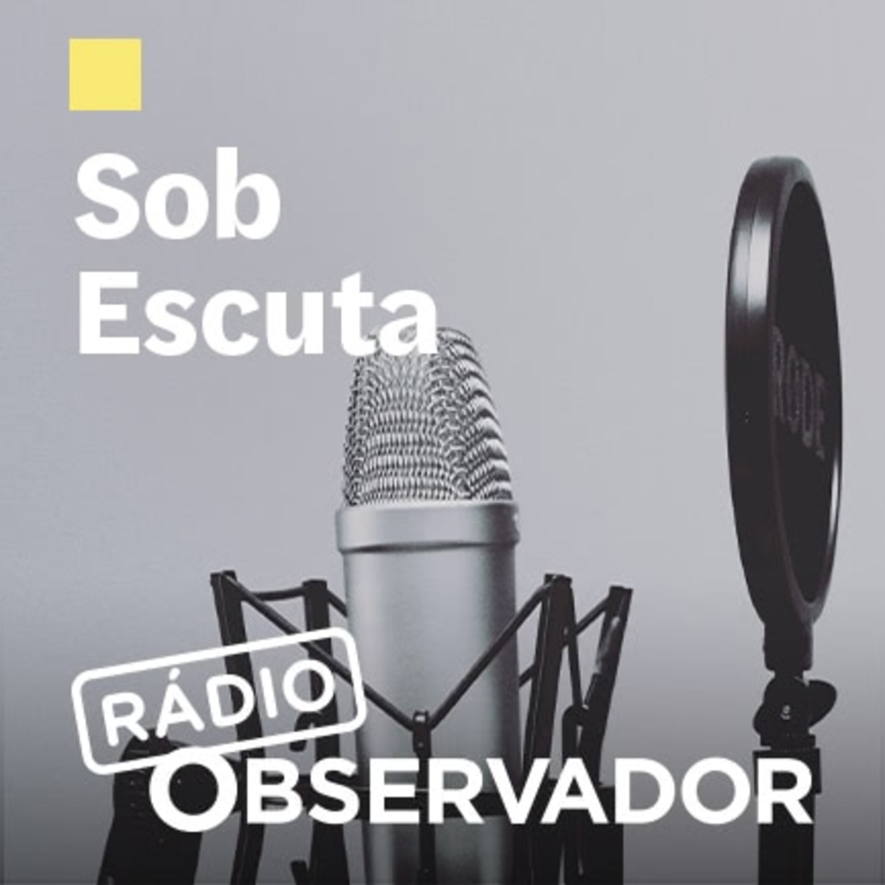 TAP. “O problema que temos é que ninguém lê os contratos”