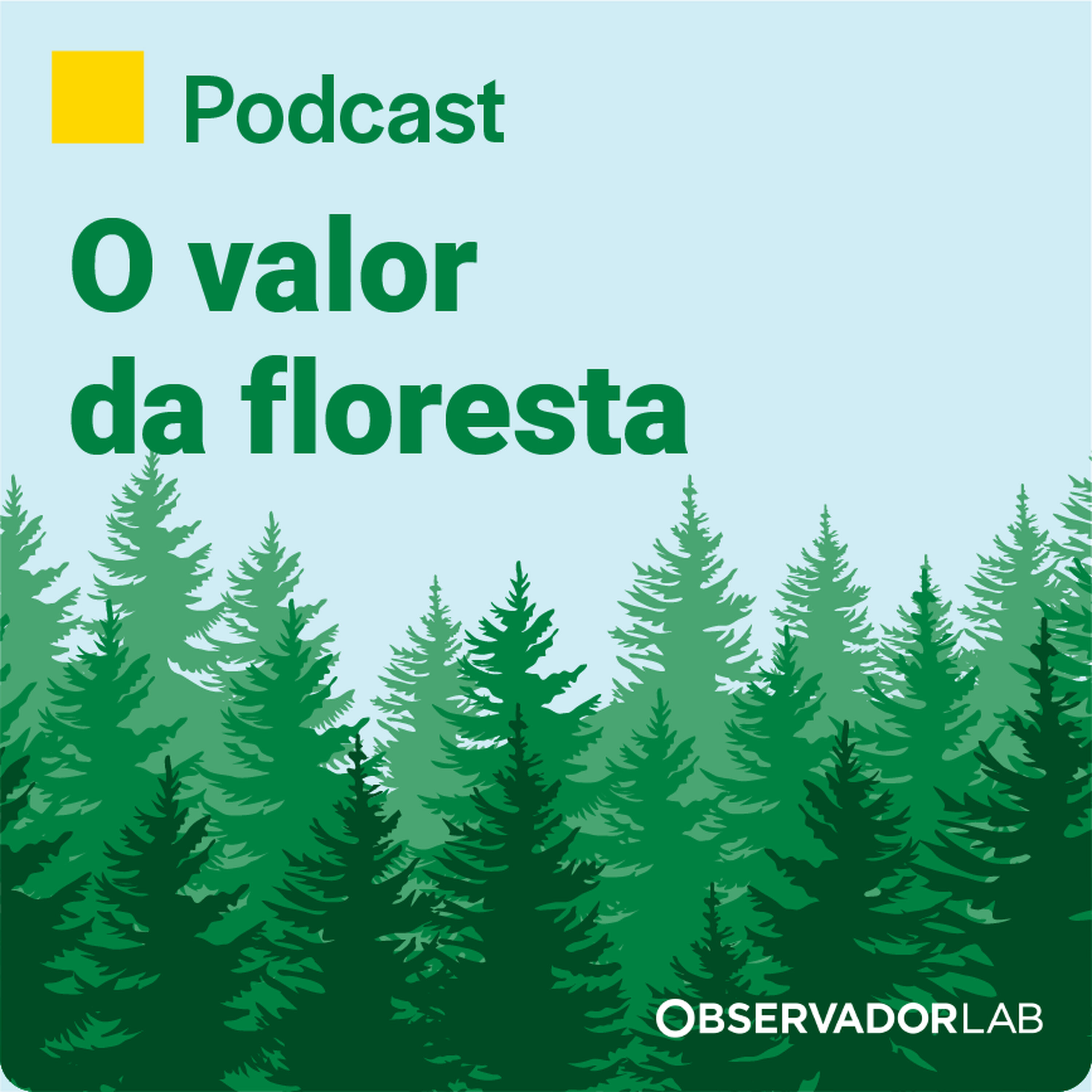 Conhecer a Floresta através do relato ESG