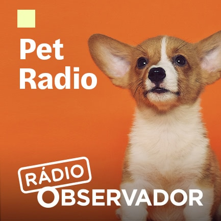 Pet Radio