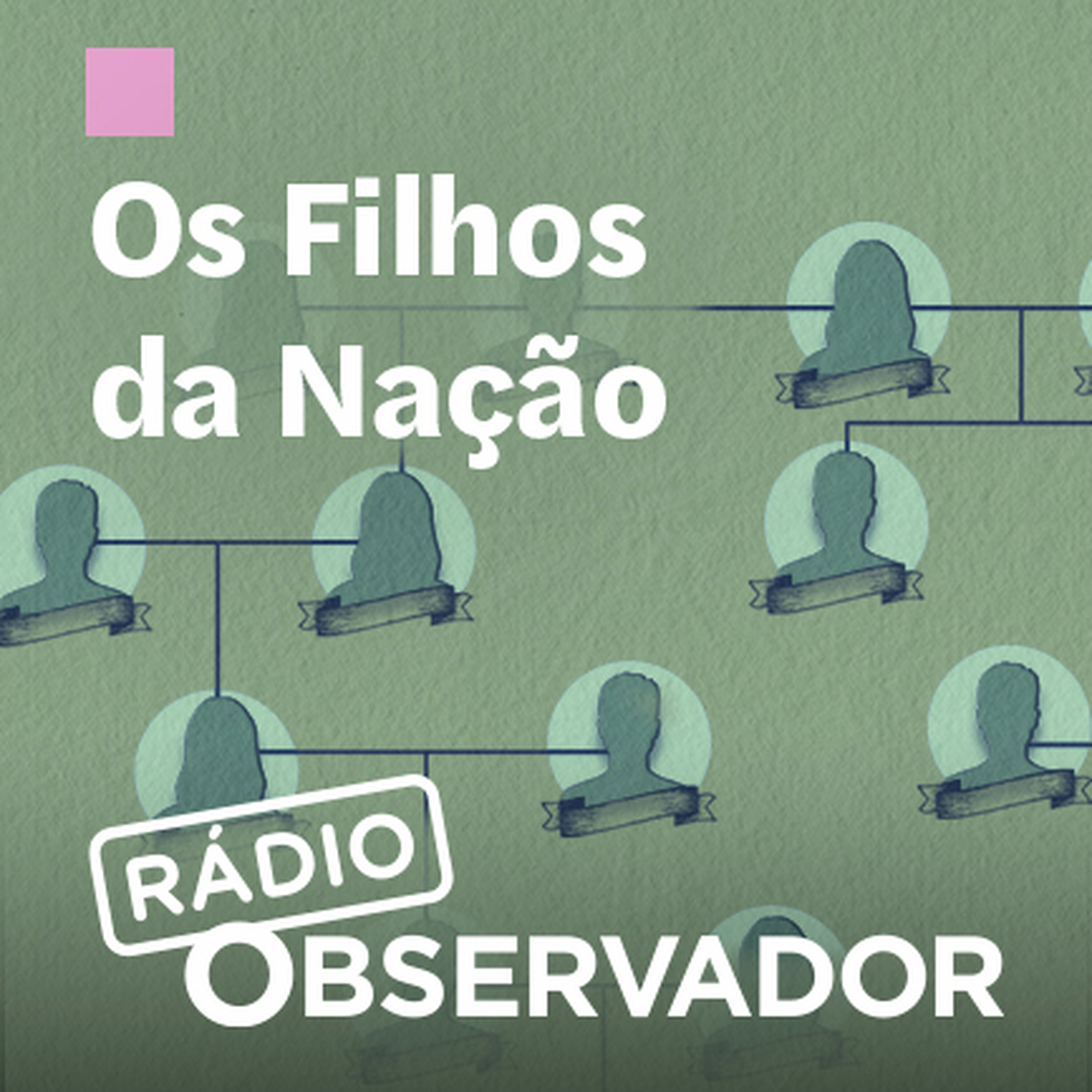 Os Filhos da Nação. As surpreendentes ligações familiares de Gouveia e Melo Os Filhos da Nação. As surpreendentes ligações familiares de Gouveia e Melo
