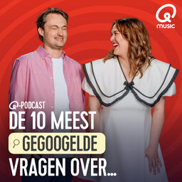 De 10 Meest Gegoogelde Vragen Over …