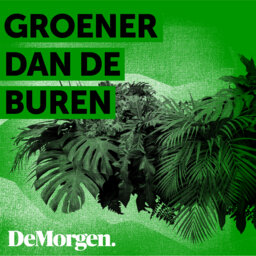 Groener dan de buren
