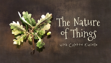 The Nature of Things