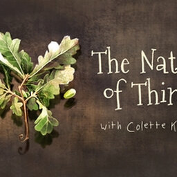 The Nature of Things