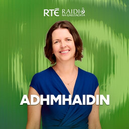 Adhmhaidin