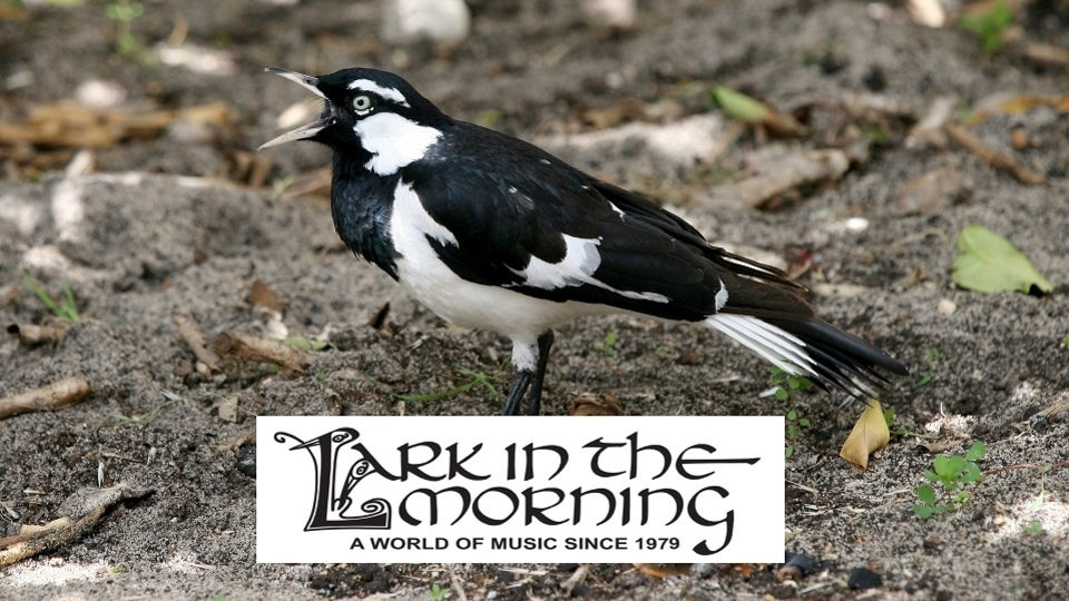 Lark in the Morning