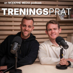 Treningsprat