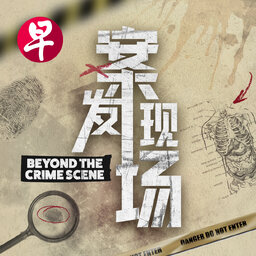 案发现场 | Beyond The Crime Scene