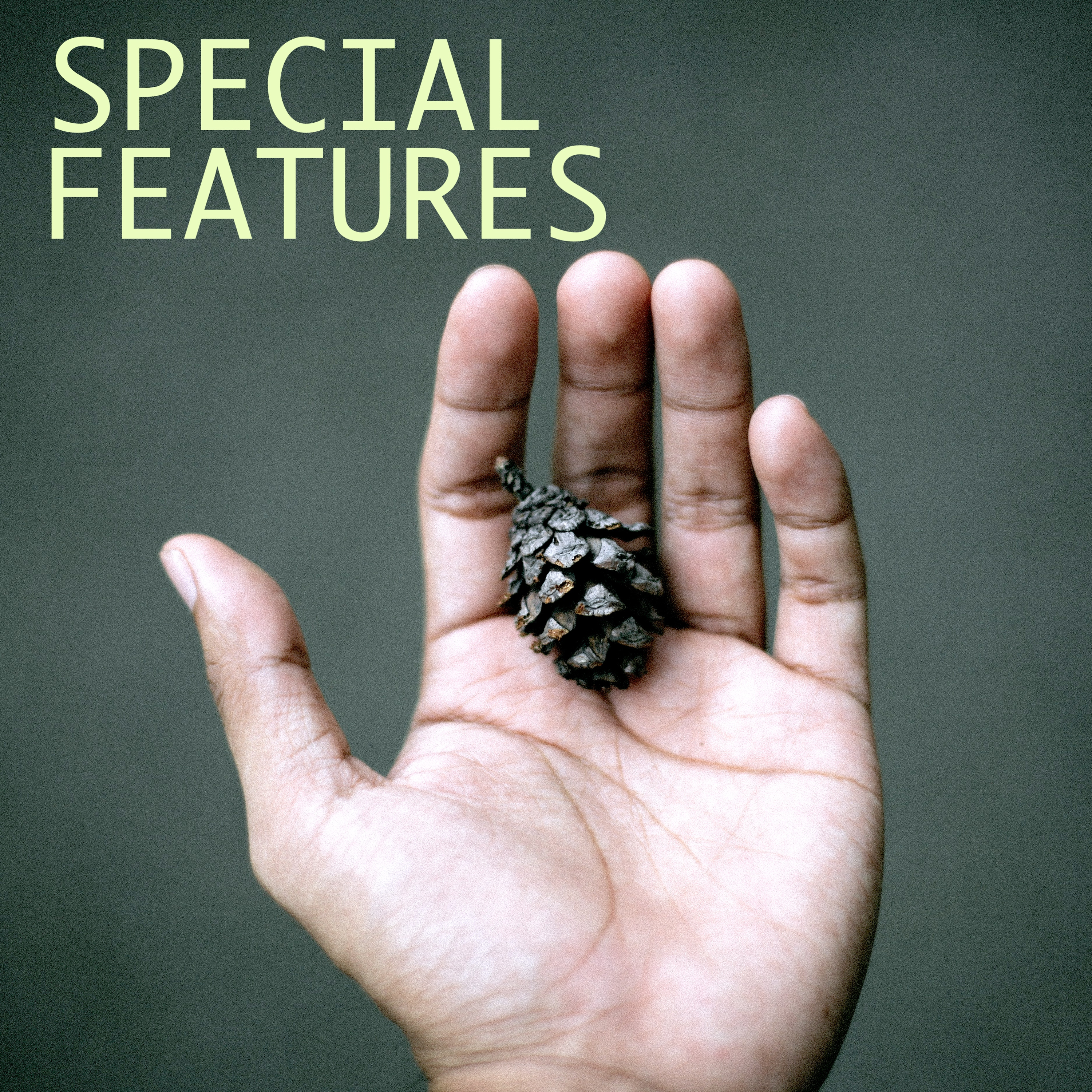 Special Features