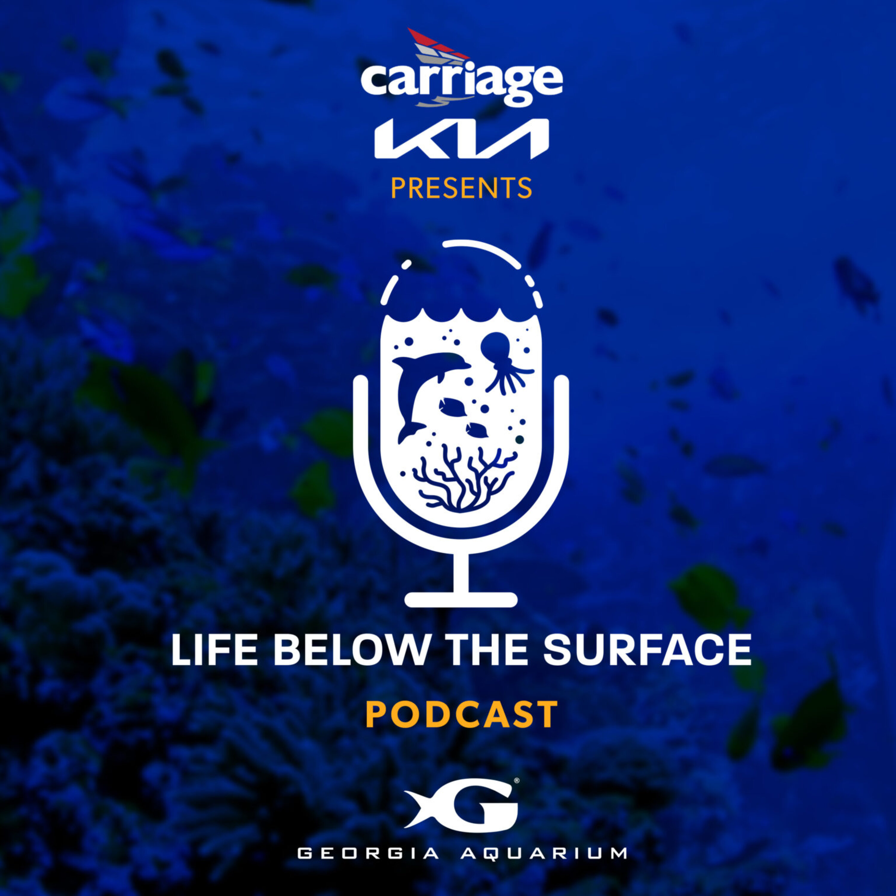 Life Below The Surface- A Georgia Aquarium Podcast cover