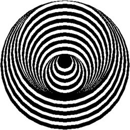 My Vinyl Weighs a Ton