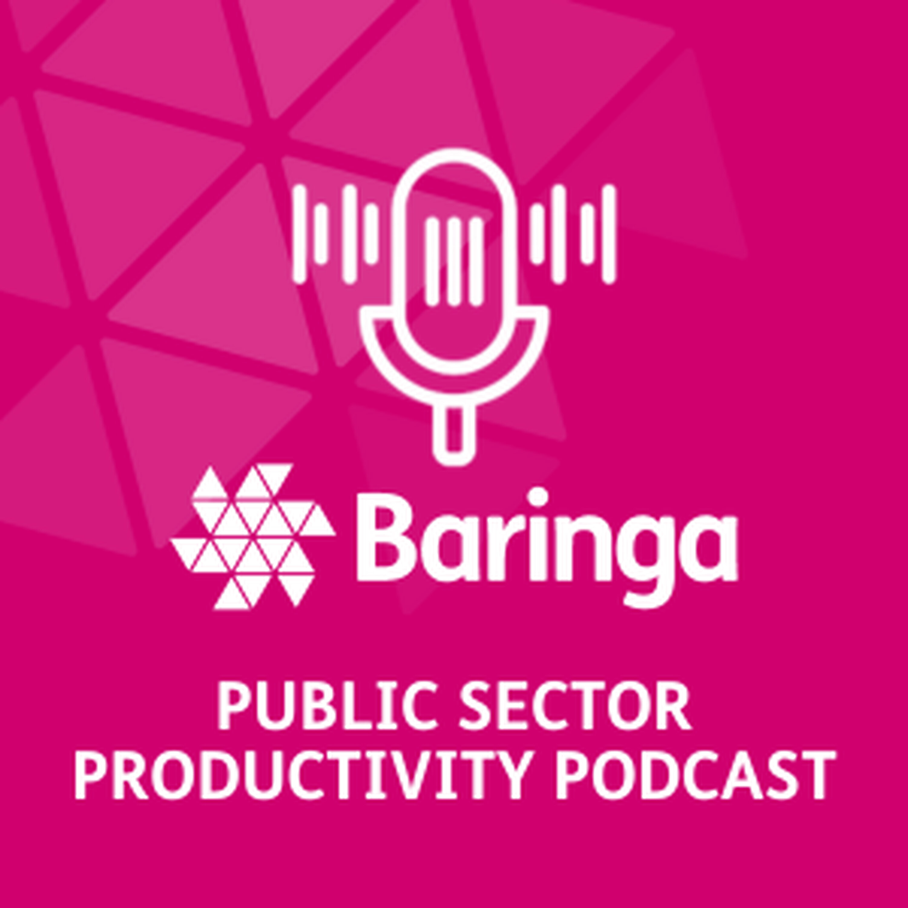 Public Sector Productivity Podcast