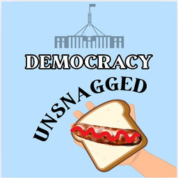 Democracy Unsnagged