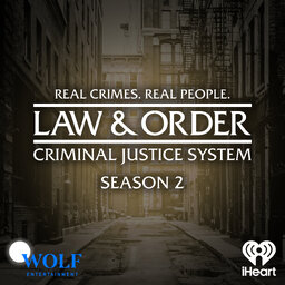Law & Order: Criminal Justice System - Season 1 & Season 2