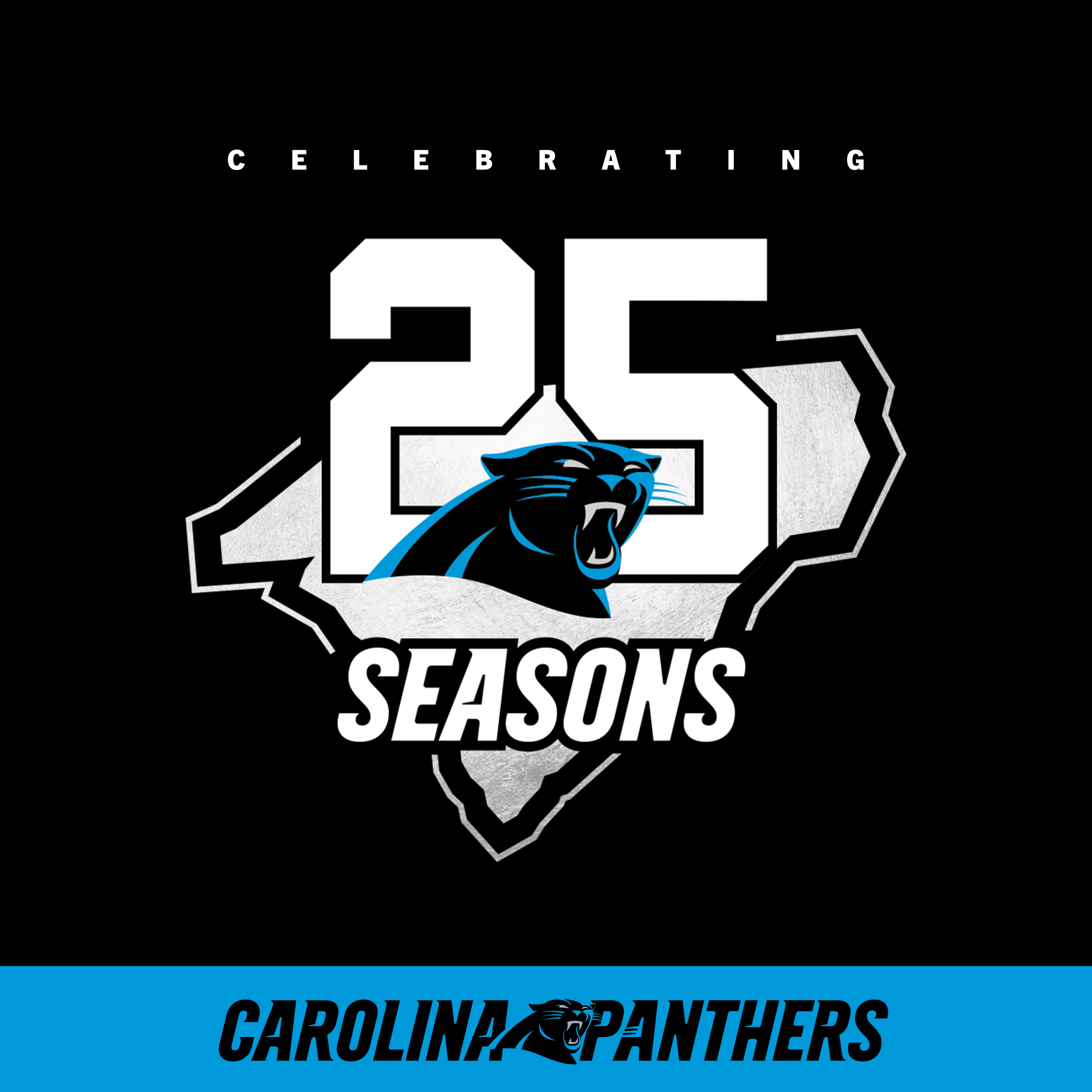 25 Seasons of Panther Football