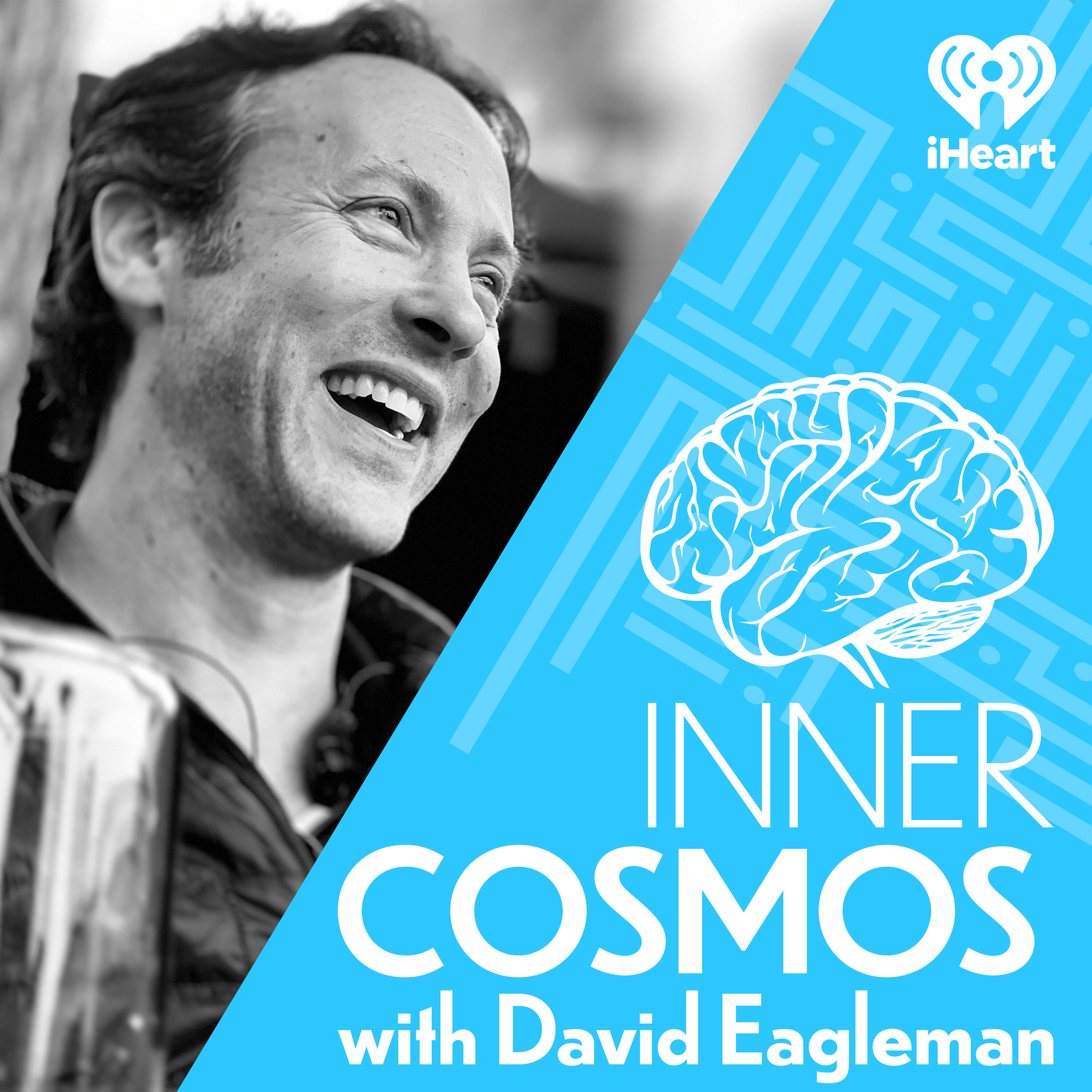 Inner Cosmos with David Eagleman podcast show image