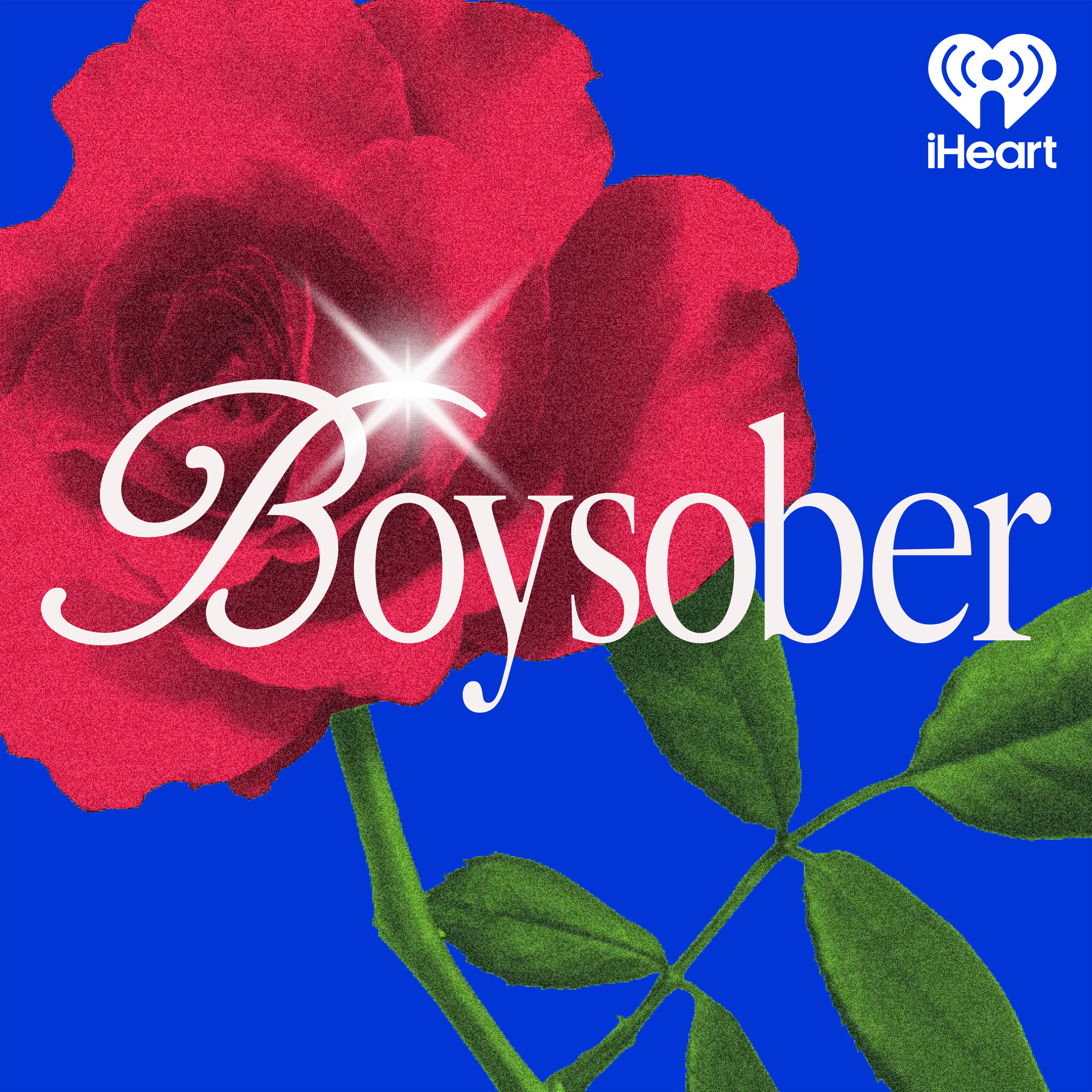 Boysober podcast
