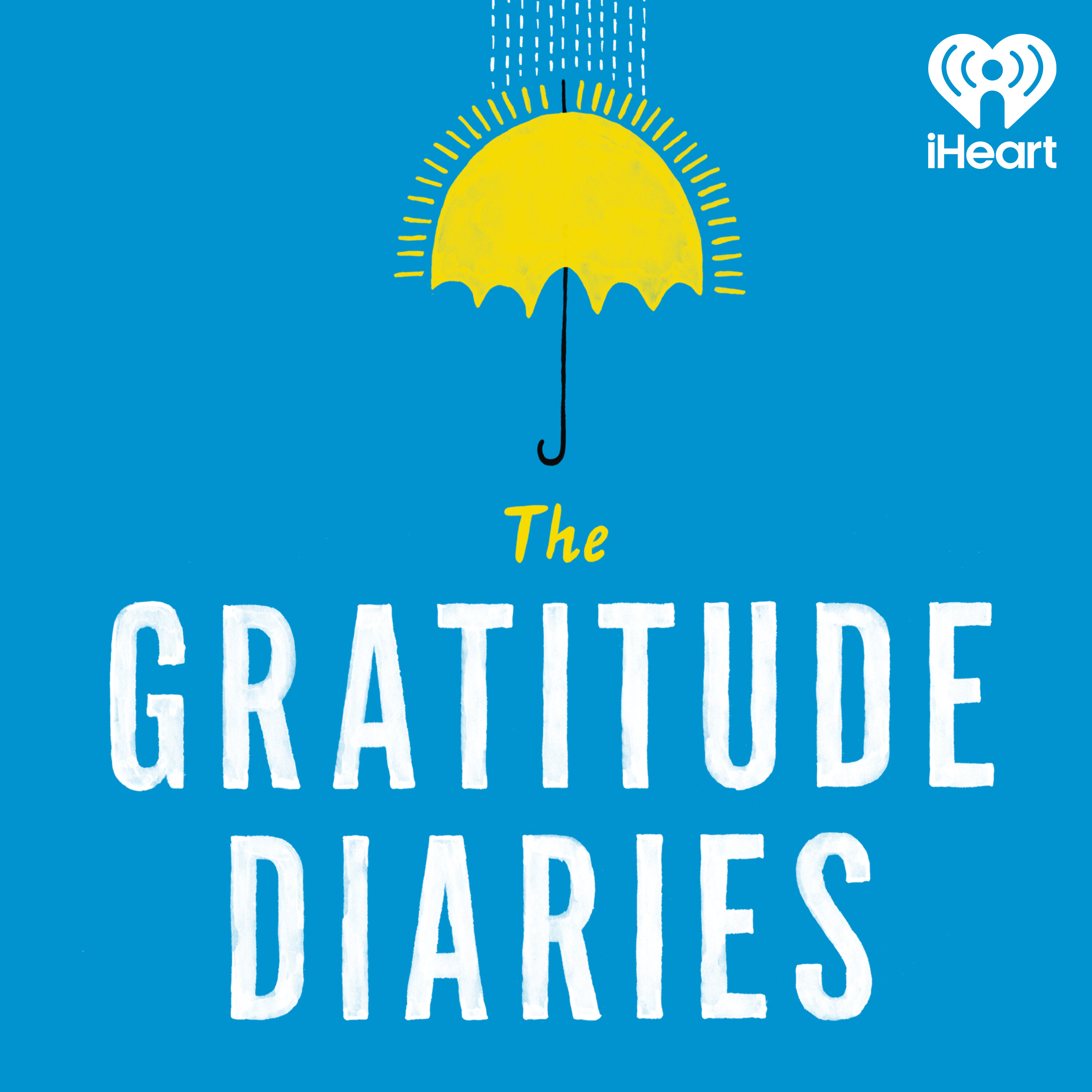 The Gratitude Diaries cover