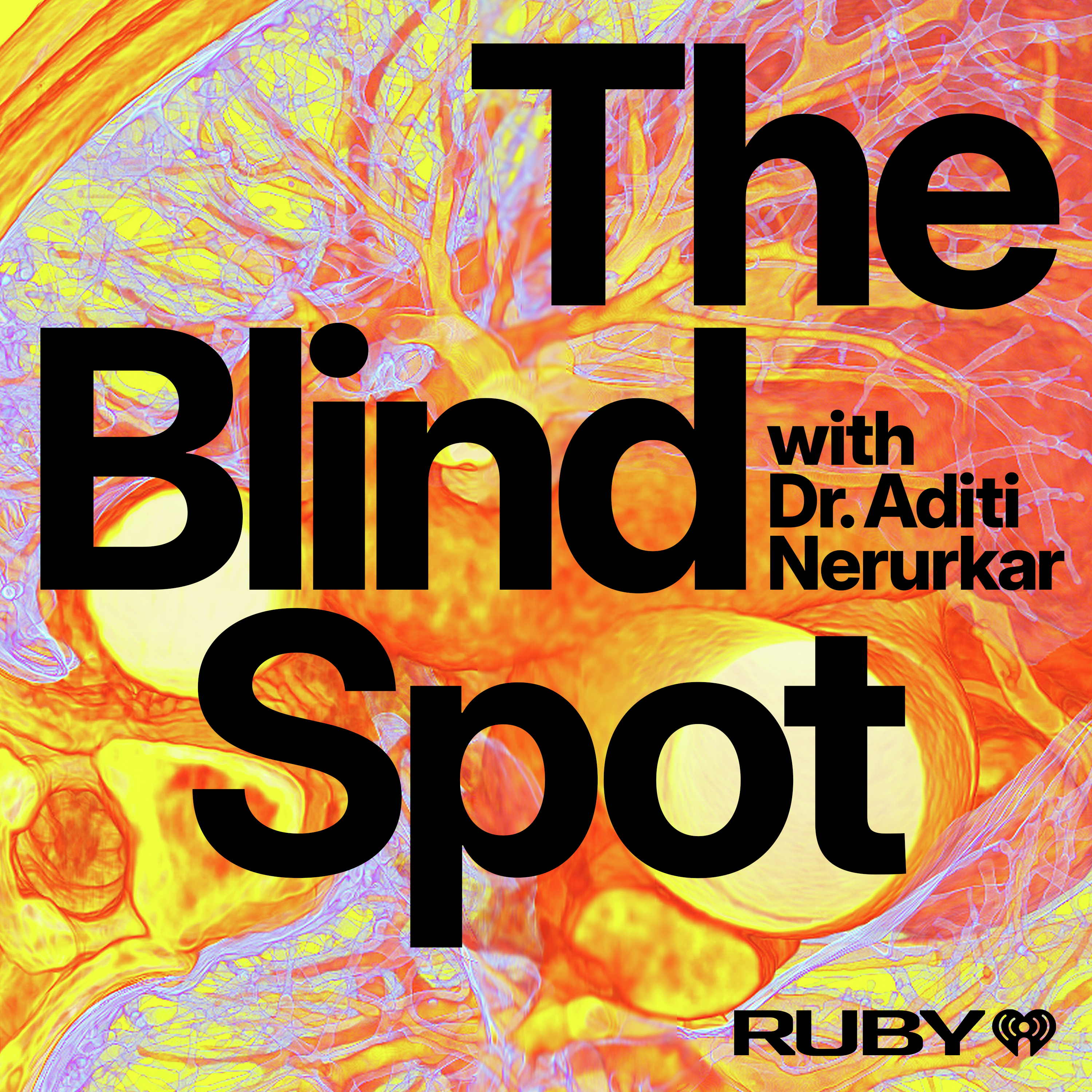 The Blind Spot with Dr. Aditi Nerurkar