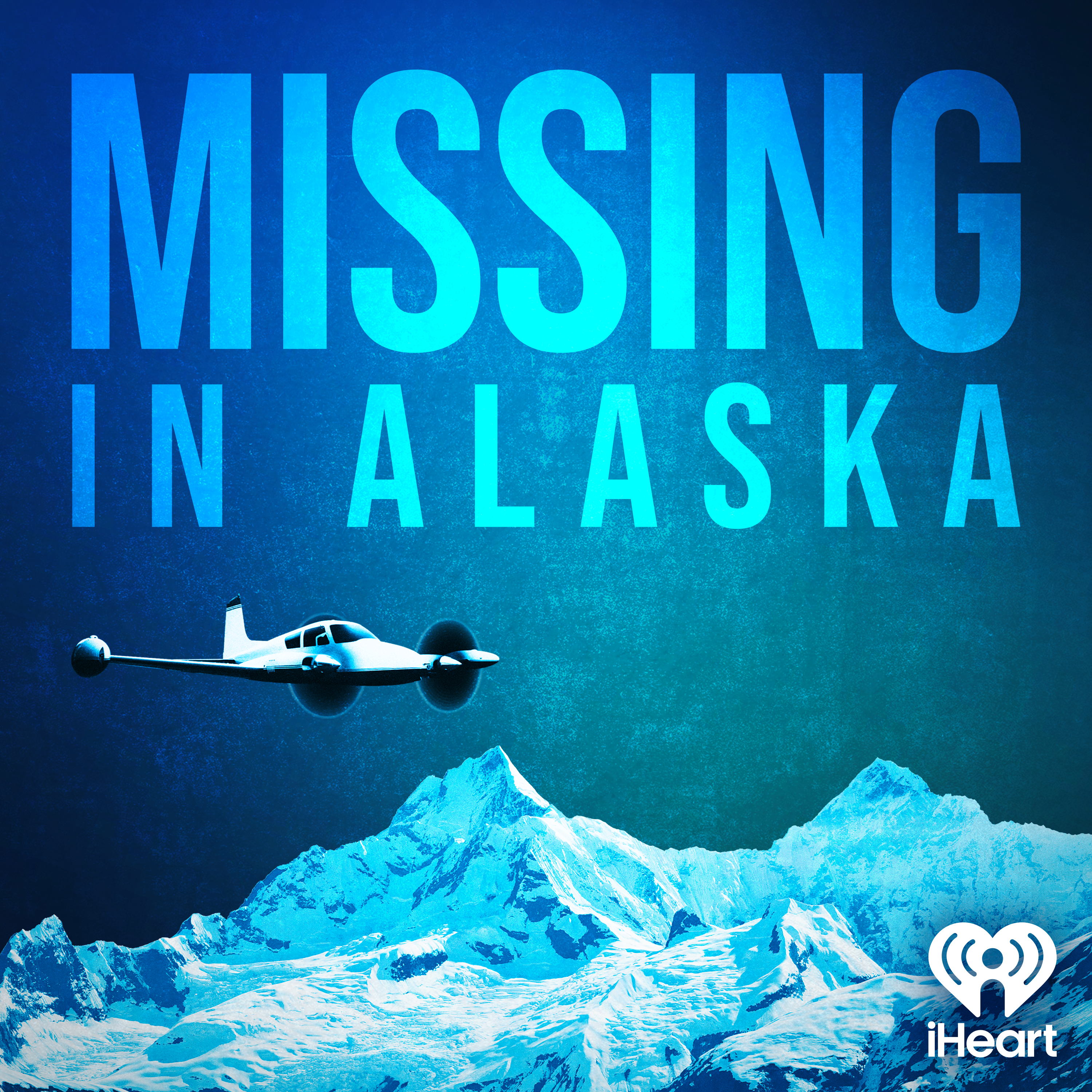 Missing in Alaska Artwork