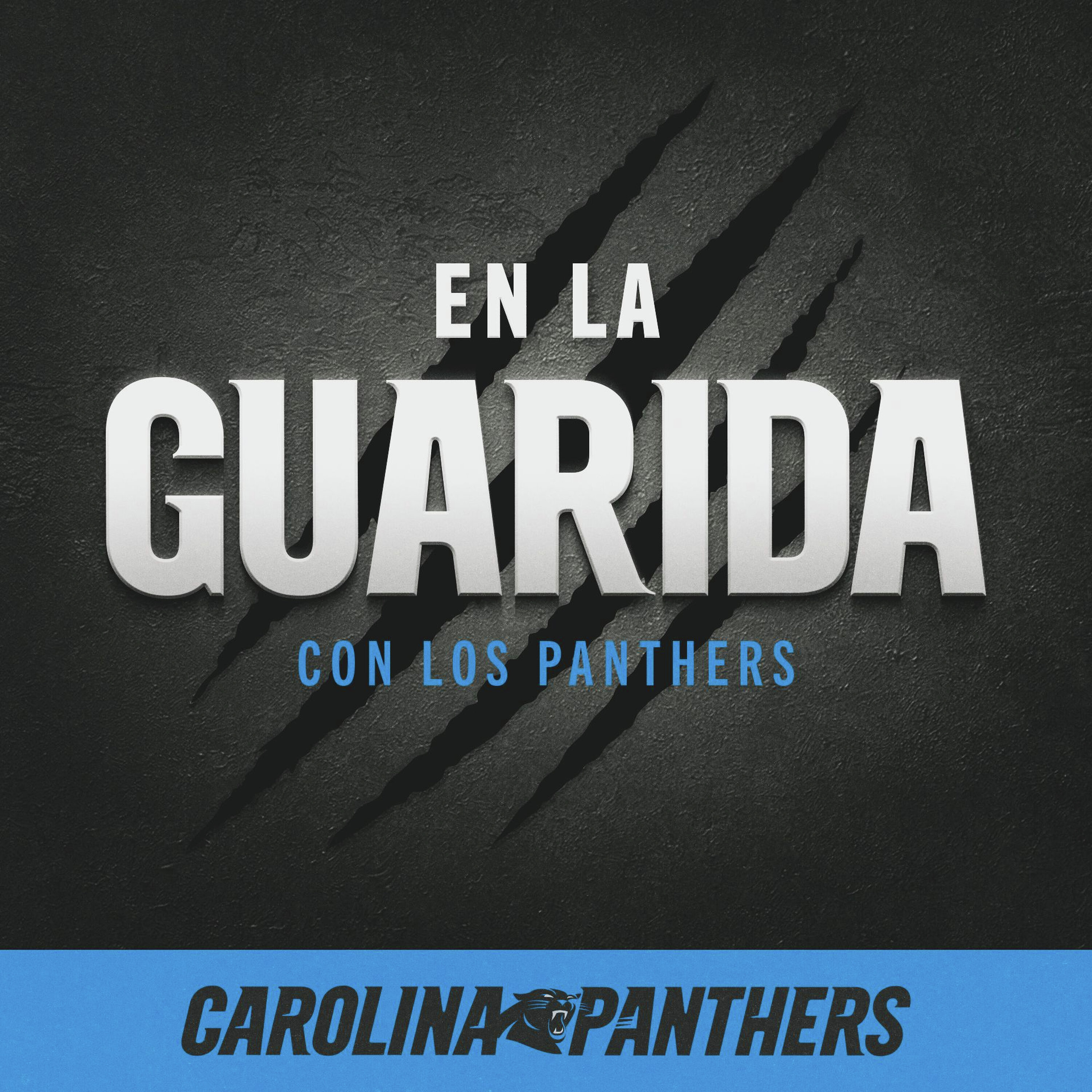 En la Guarida con los Panthers podcast artwork