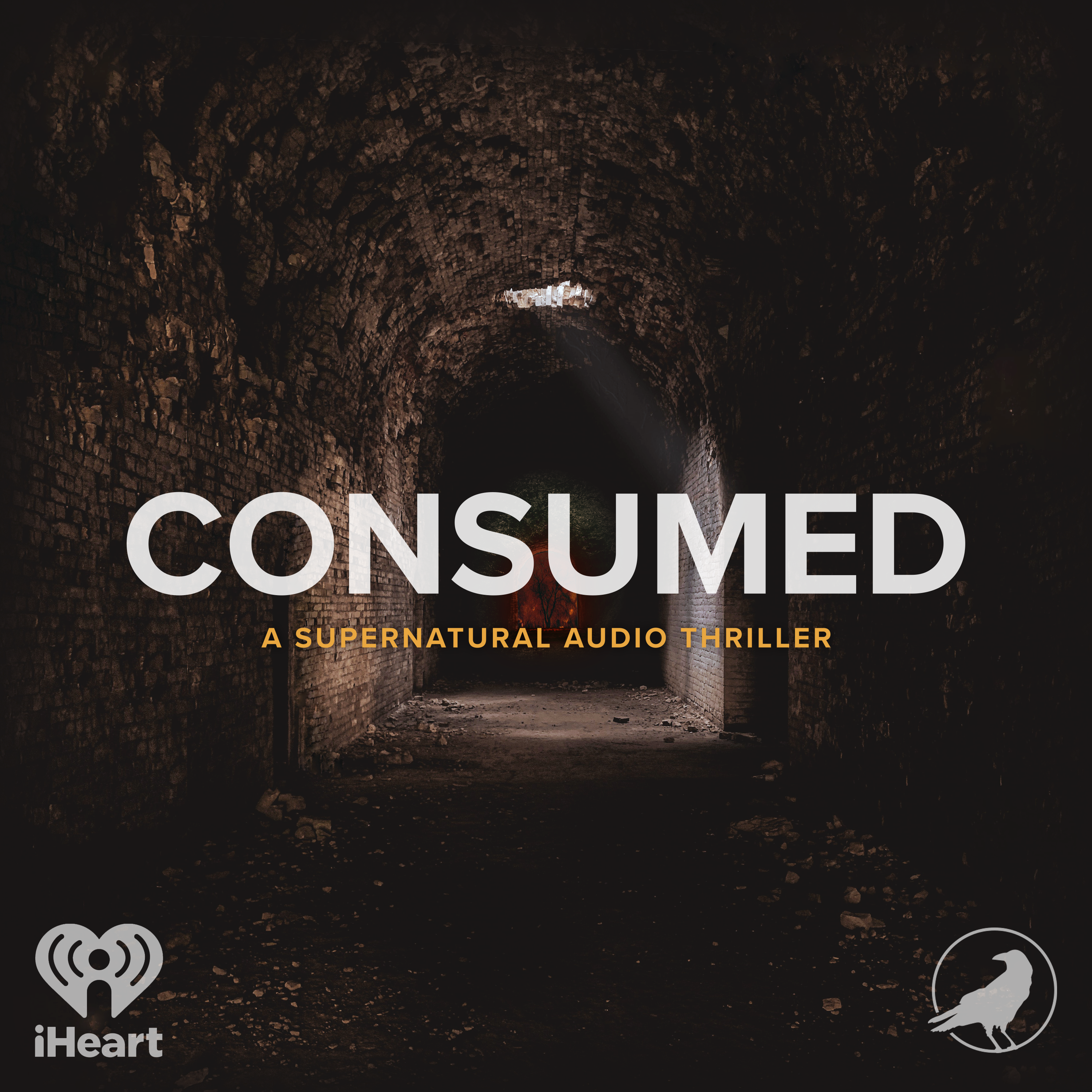 Consumed podcast show image