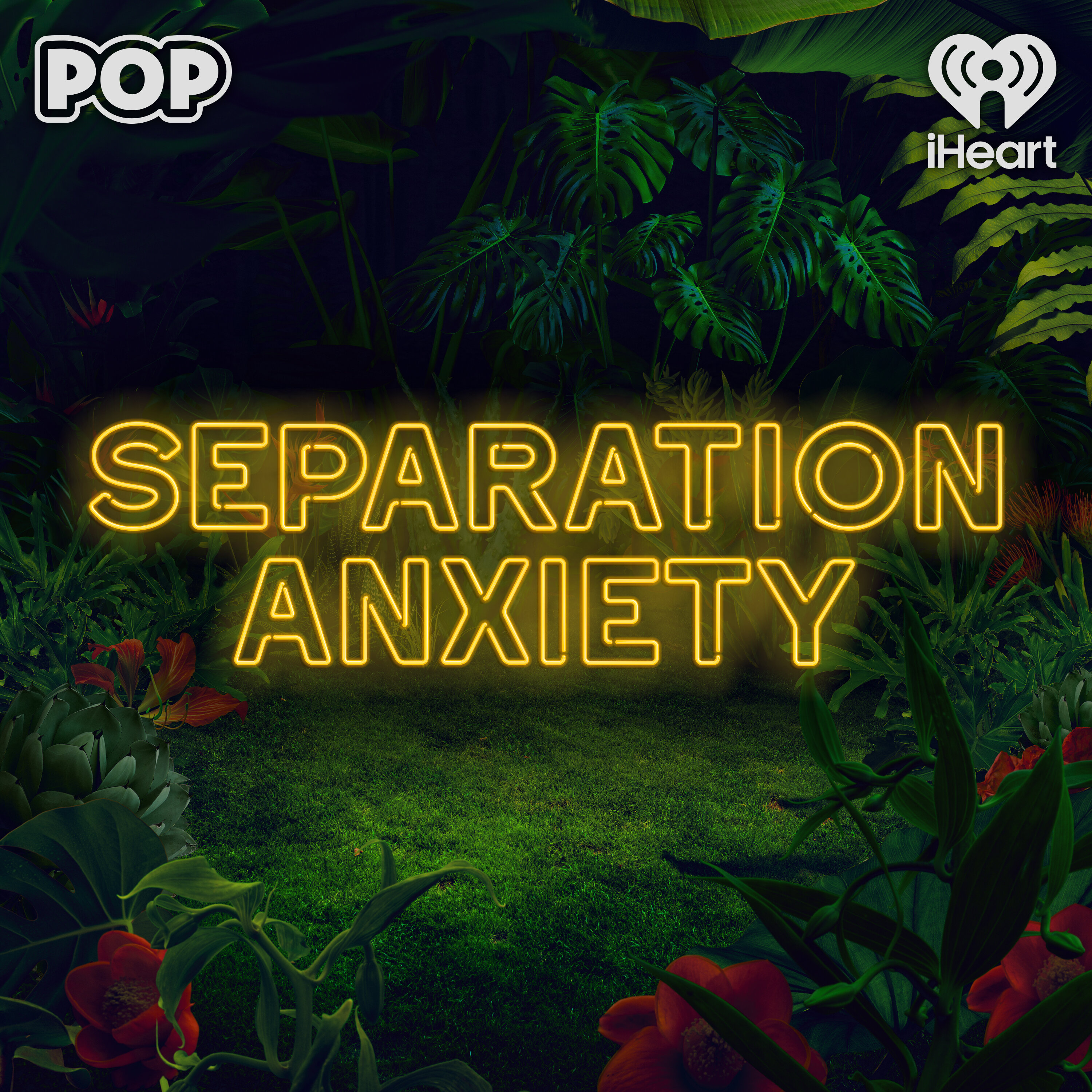 Separation Anxiety cover