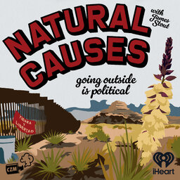Natural Causes