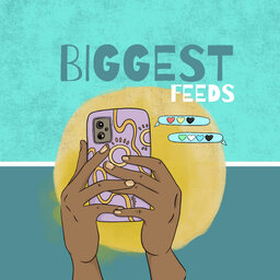 Biggest Feeds