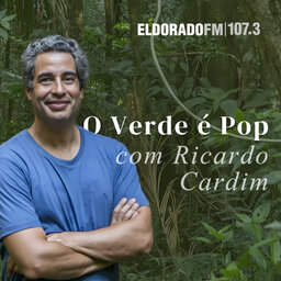 O Verde é Pop, com Ricardo Cardim