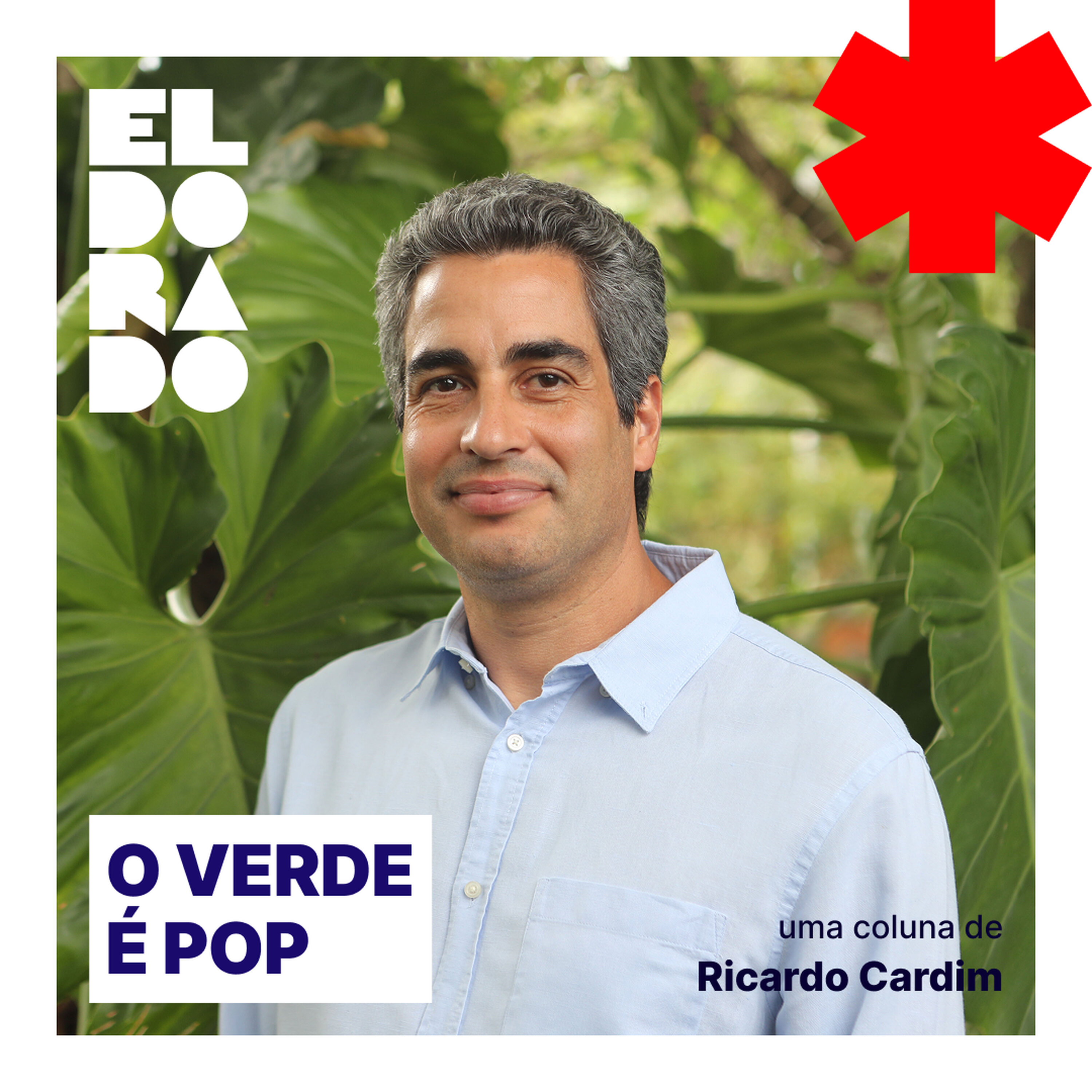 Variedades e espécies de jaboticaba