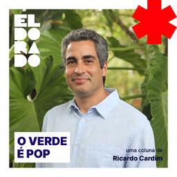 O Verde é Pop, com Ricardo Cardim
