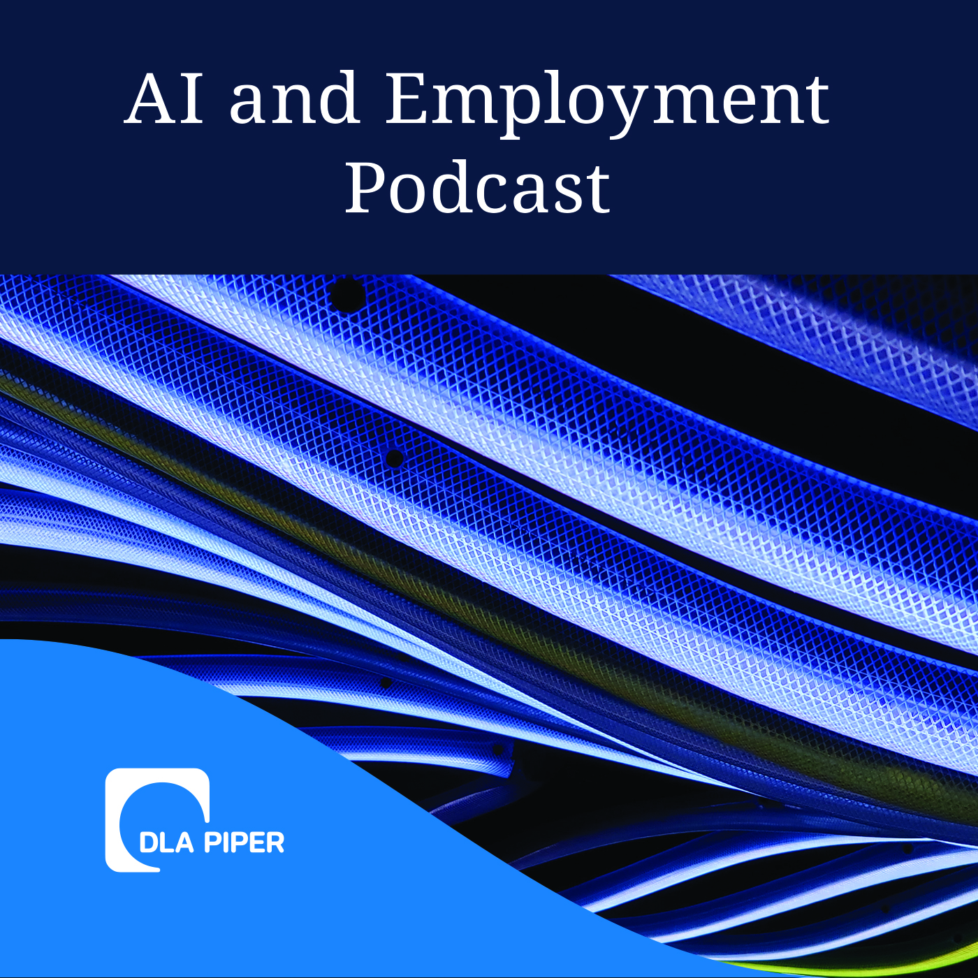 The DLA Piper AI and Employment Podcast